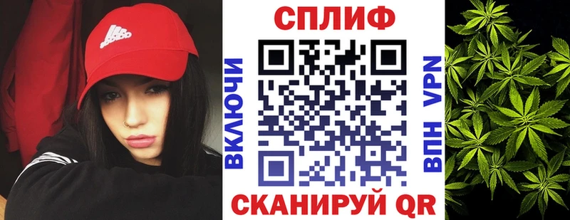 ГАШ Еманжелинск