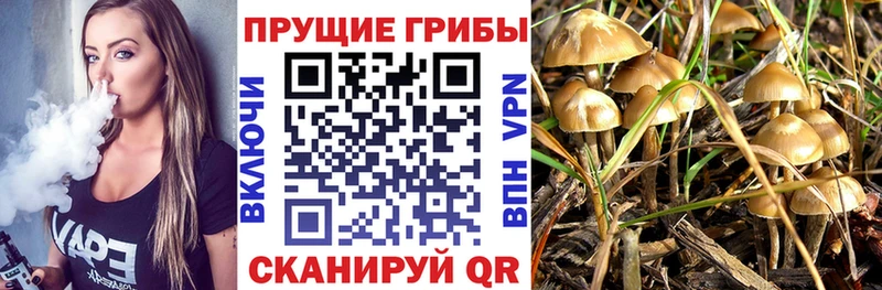 Псилоцибиновые грибы GOLDEN TEACHER  где можно купить   Еманжелинск 